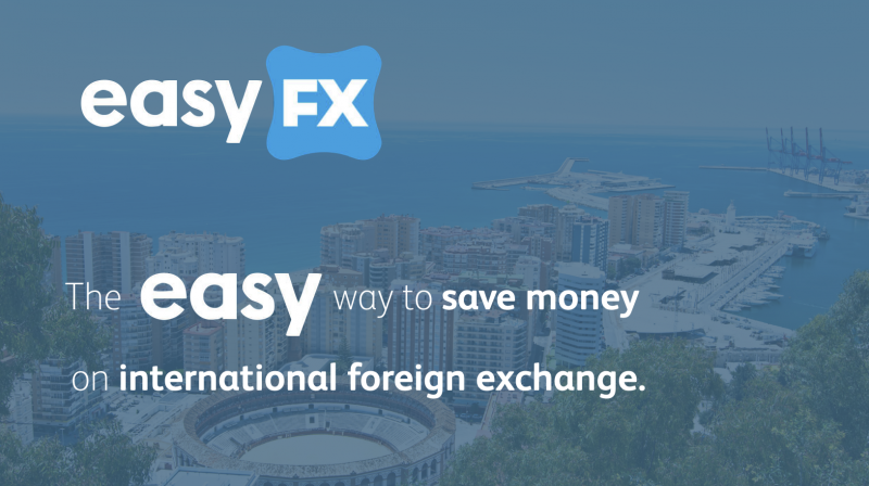 A Dynamic Partnership for International Currency Exchange Savings