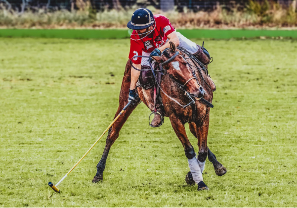 The Best Polo Clubs in Sotogrande