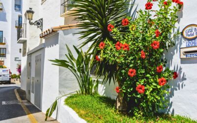 Historical Landmarks in Marbella: A Walk Through the Old Town