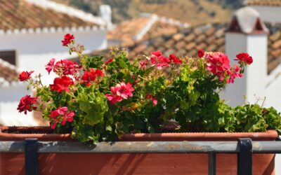 Why High-Net-Worth Buyers Are Moving to Alhaurín de la Torre