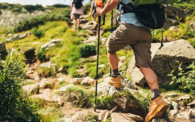 Benahavís’ Best Hiking Trails and Nature Retreats for Wellness Buyers