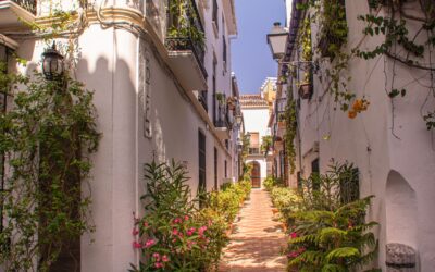 Weekend Living in Alhaurín de la Torre: Markets, Trails, and Hidden Restaurants